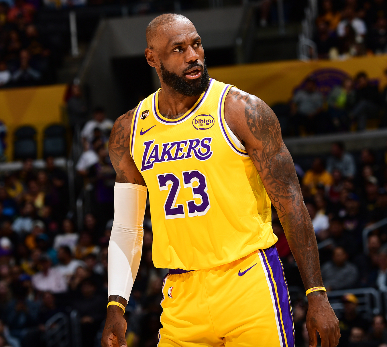 湖人近5战4负！詹姆斯29+9惨败黄蜂 东契奇39分三球30+9三分